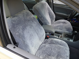BMW Autositzbezug