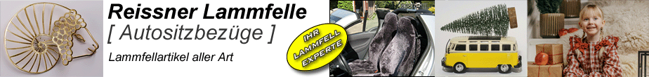 Autositzbezge